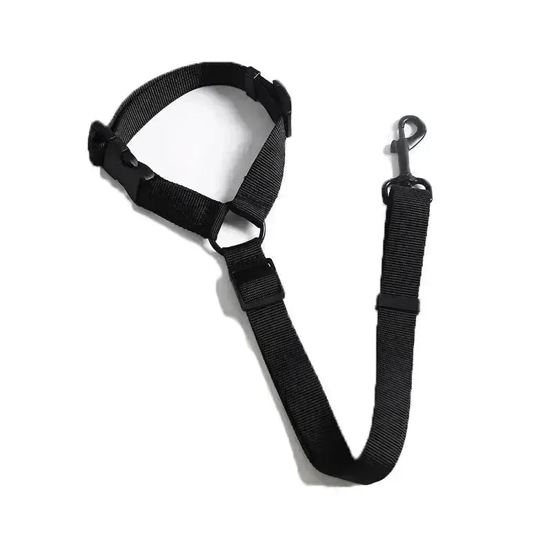 2-in-1 Pet Leash Car Seat Belt