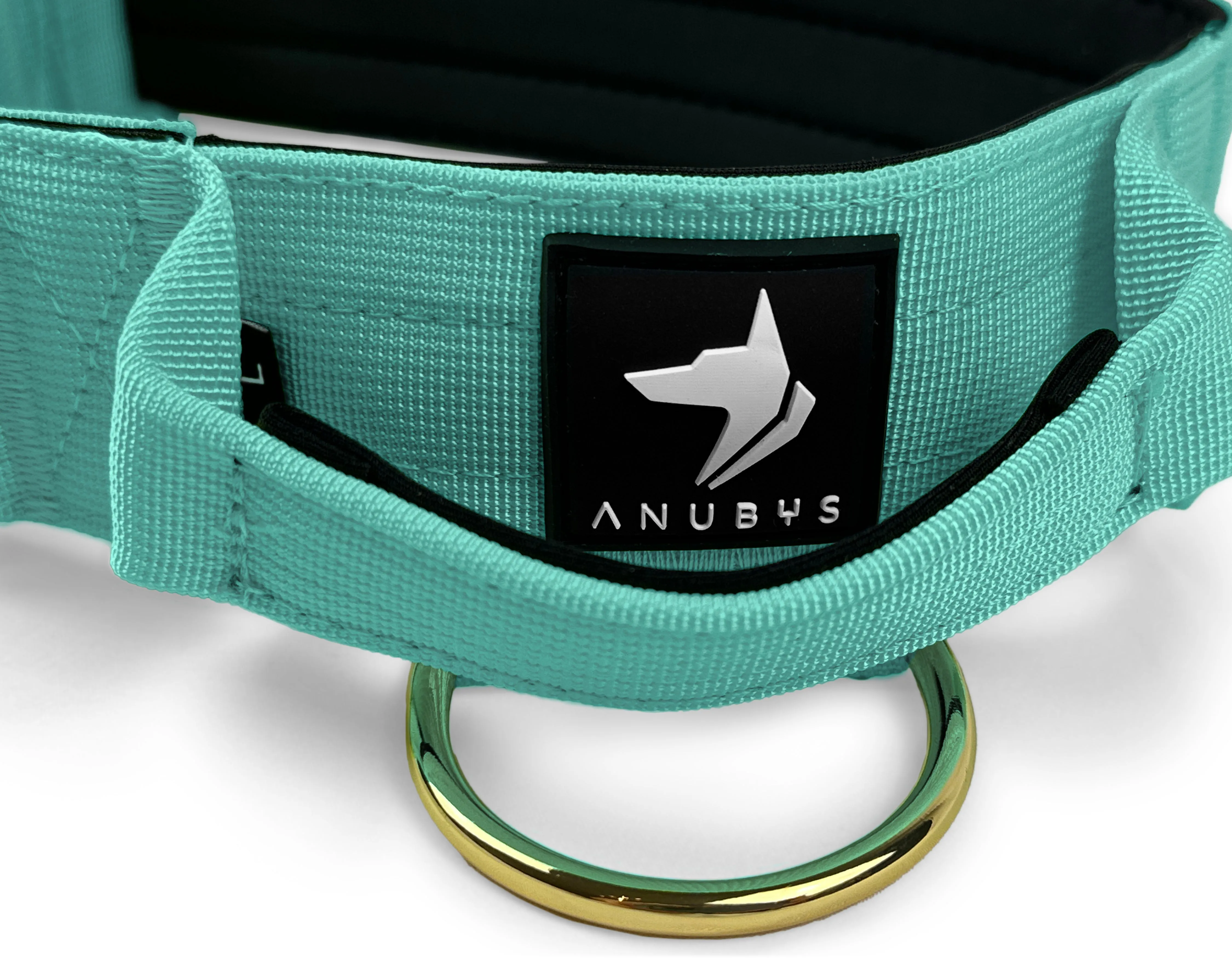 5cm Elite Tactical Collar | Tri-Layered | Turquoise