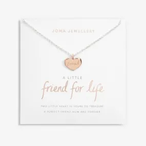 A Little Friend For Life Silver Rose Gold Plated 46cm   5cm Necklace 6831