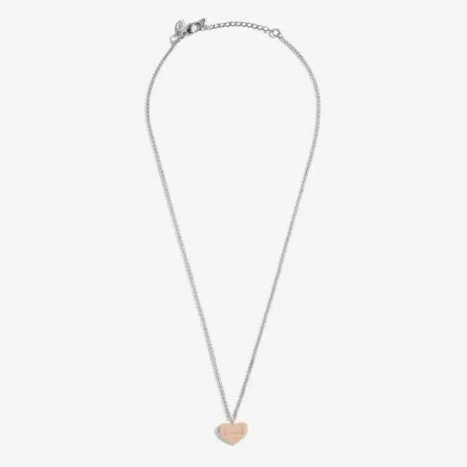 A Little Friend For Life Silver Rose Gold Plated 46cm   5cm Necklace 6831