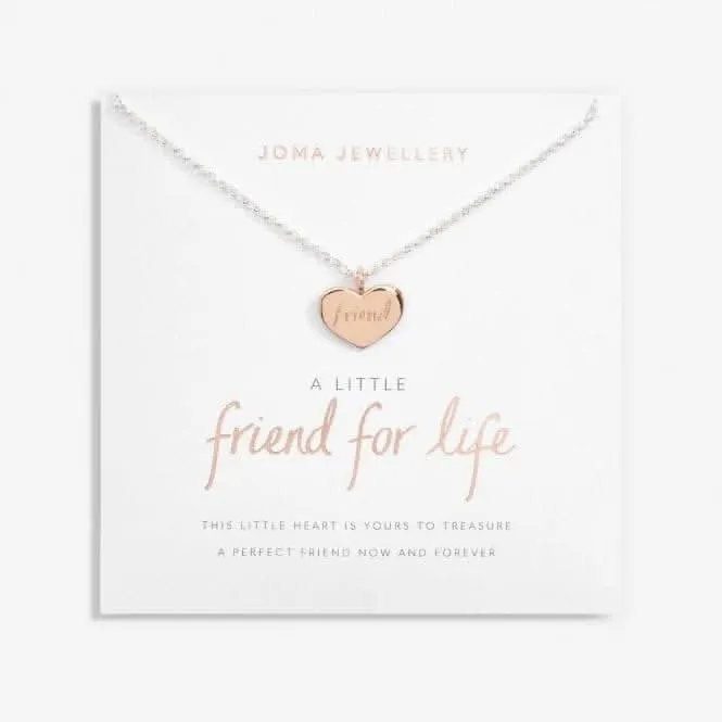 A Little Friend For Life Silver Rose Gold Plated 46cm   5cm Necklace 6831