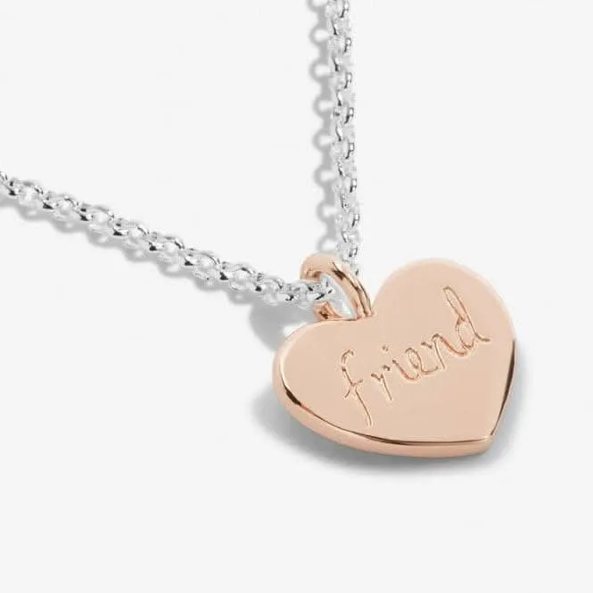 A Little Friend For Life Silver Rose Gold Plated 46cm   5cm Necklace 6831