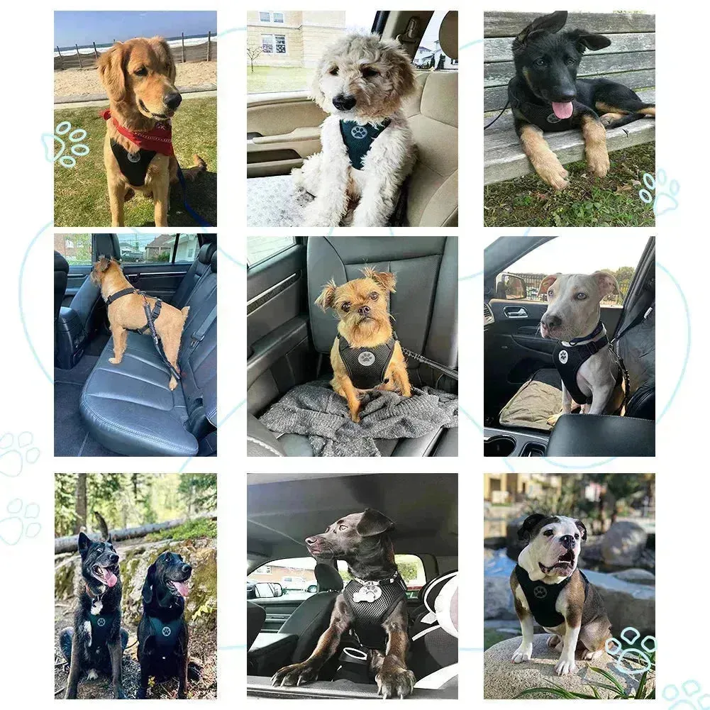 Adjustable Dog Seatbelt Harness with Breathable Mesh Vest
