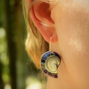 Deep Purple Nautilus Earrings
