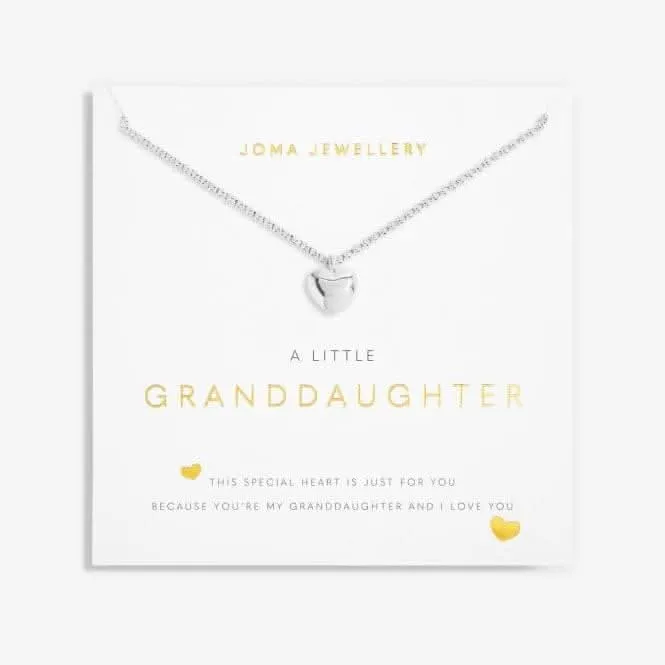 Granddaughter Silver 46cm   5cm Extender Necklace 6115