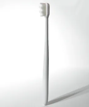 'The Essential' Jewelry Brush