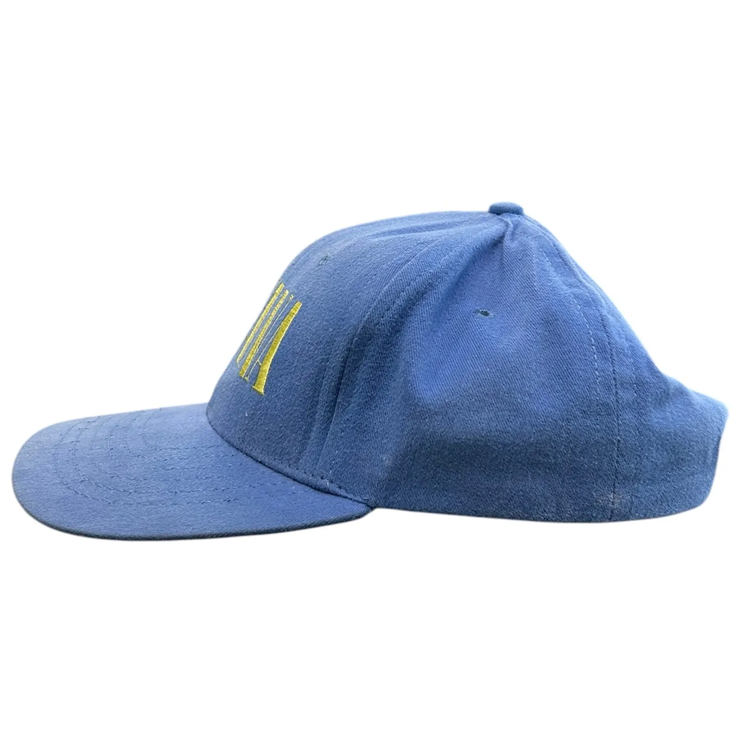 Vintage 90s Nirvana Nevermind Promo Blue Snapback Hat
