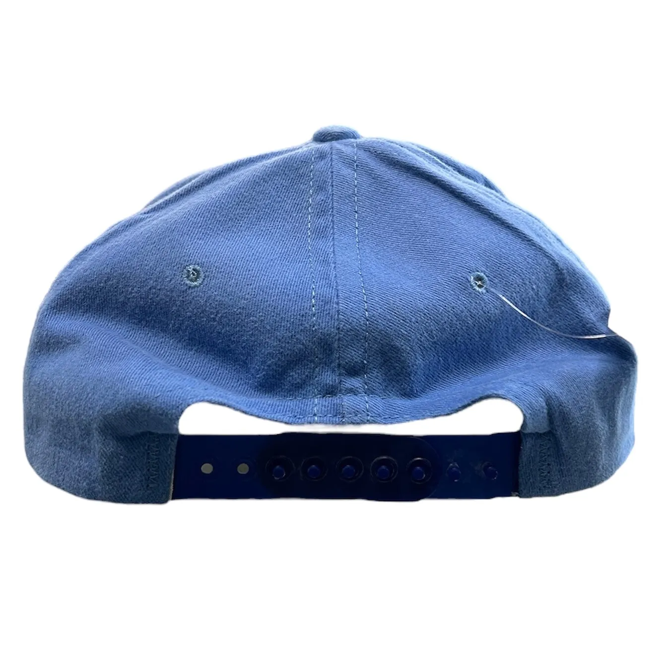 Vintage 90s Nirvana Nevermind Promo Blue Snapback Hat
